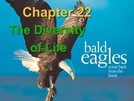 Chapter 22 The Diversity of Life. (V) Kingdom Animalia 9 Major Phyla: Multicellular Ingests food