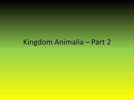 Kingdom Animalia – Part 2