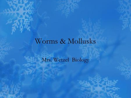Worms & Mollusks Mrs. Wetzel Biology. Review 5 kingdoms -Prokaryotes * -Protista * -Fungi * -Plants * -Animals.