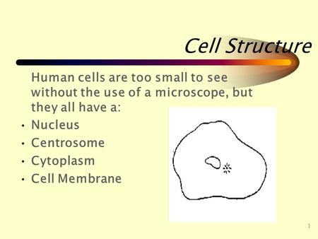 Cell Structure Human cells are too small to see without the use of a microscope, but they all have a: Nucleus Centrosome Cytoplasm Cell Membrane 1.