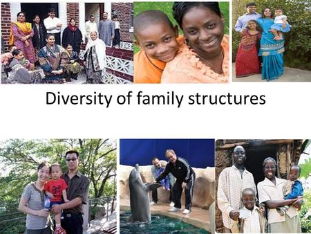 Diversity of family structures. Concepts Reconstituted family: A household from which one biological parent has departed and children live with the other.