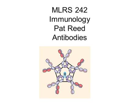 MLRS 242 Immunology Pat Reed Antibodies