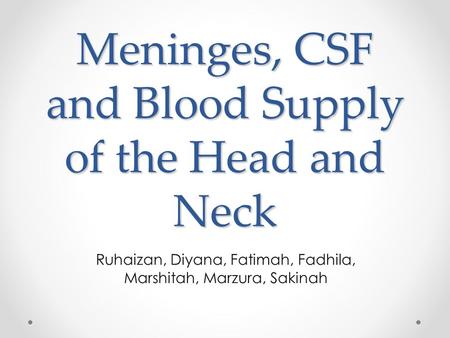 Meninges, CSF and Blood Supply of the Head and Neck Ruhaizan, Diyana, Fatimah, Fadhila, Marshitah, Marzura, Sakinah.