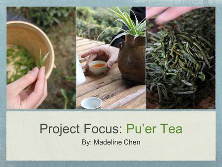 Project Focus: Pu’er Tea By: Madeline Chen. Out of the different kinds of tea, how many of those are grown in Yunan? Green tea, black tea, and pu'er tea.