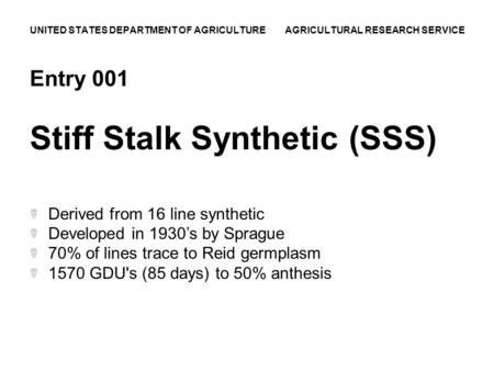 UNITED STATES DEPARTMENT OF AGRICULTURE AGRICULTURAL RESEARCH SERVICE Entry 001 Stiff Stalk Synthetic (SSS) Derived from 16 line synthetic Developed in.