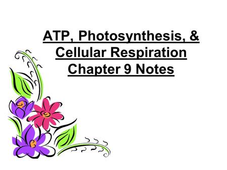 ATP, Photosynthesis, & Cellular Respiration Chapter 9 Notes