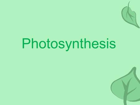 Photosynthesis. Plants = Producers All energy on earth comes from the sun. Solar energy is converted by: –Plants –Algae (underwater plants) –Cyanobacteria.