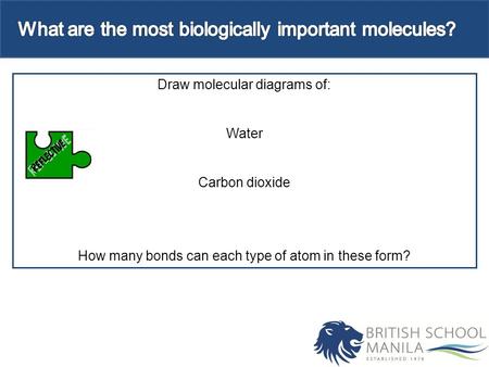 Draw molecular diagrams of: Water Carbon dioxide How many bonds can each type of atom in these form?