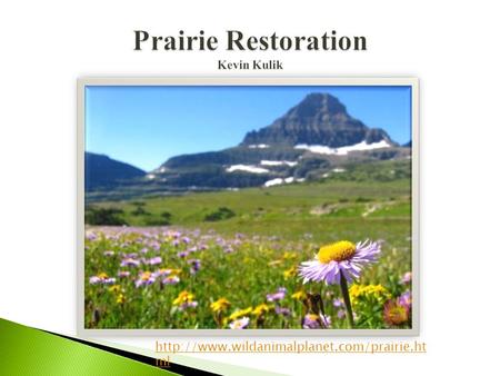 ml.  French explorers first came across what they called “Prairies” which was their word for meadows.  One.