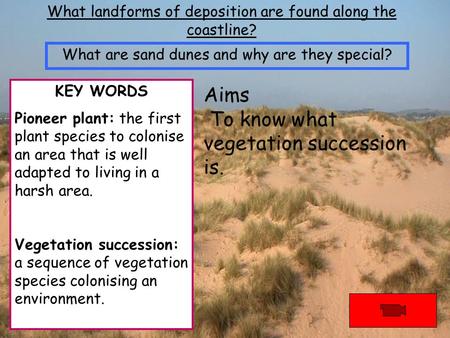 What landforms of deposition are found along the coastline? Aims To know what vegetation succession is. What are sand dunes and why are they special? KEY.