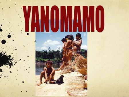 Some Basic Information Area: The Yanomomi territory covers an area of approximately 74,000 miles, located on both sides of the border between Brazil and.
