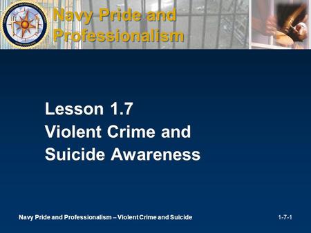 Navy pride and professionalism essay