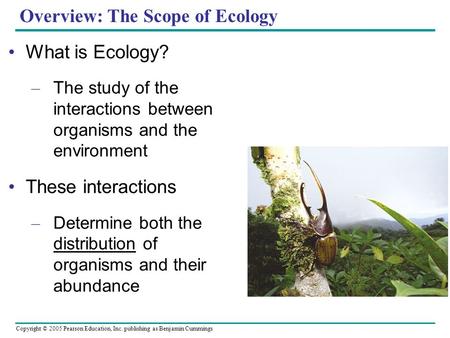 Copyright © 2005 Pearson Education, Inc. publishing as Benjamin Cummings Overview: The Scope of Ecology What is Ecology? – The study of the interactions.