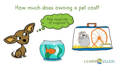 How much does owning a pet cost? Pets need lots of supplies!