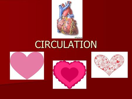CIRCULATION. WHAT ARE THE PARTS OF THE CIRCULATORY SYSTEM? Show Video Show Video.