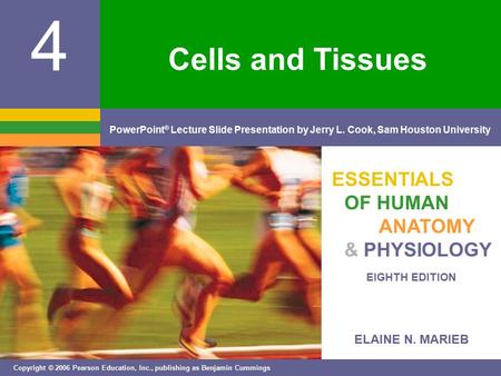 ELAINE N. MARIEB EIGHTH EDITION 4 Copyright © 2006 Pearson Education, Inc., publishing as Benjamin Cummings PowerPoint ® Lecture Slide Presentation by.