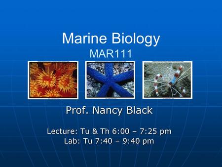 Marine Biology MAR111 Prof. Nancy Black