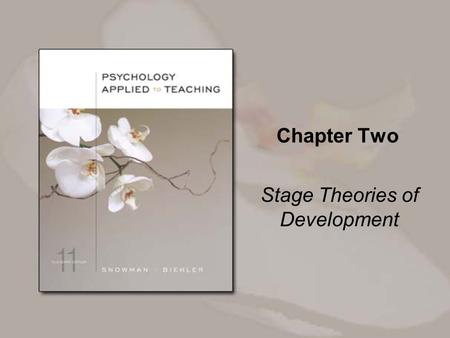 Chapter Two Stage Theories of Development. Copyright © Houghton Mifflin Company. All rights reserved. 2-2 Overview Erikson: Psychosocial development Piaget: