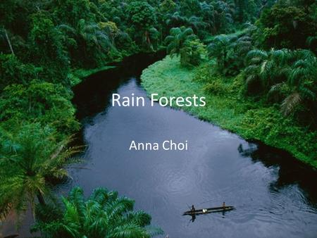 Rain Forests Anna Choi. Summary a forest with heavy annual rainfall The forests are being cleared – mainly by timber, palm oil, soybean and mining companies.