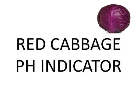 RED CABBAGE PH INDICATOR. THE PURPOSE OF THIS EXPERIMENT IS TO SHOW HOW TO MAKE YOUR OWN PH INDICATOR USING CABBAGE JUICE.