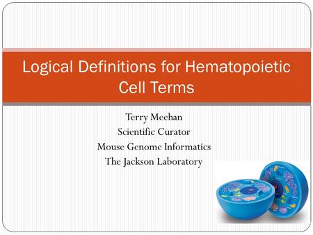 Terry Meehan Scientific Curator Mouse Genome Informatics The Jackson Laboratory Logical Definitions for Hematopoietic Cell Terms.