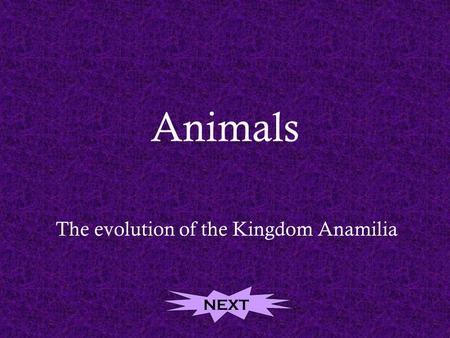 Animals The evolution of the Kingdom Anamilia NEXT.