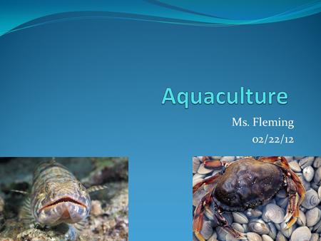 Ms. Fleming 02/22/12. Objectives Define aquaculture. Recall terms dealing with aquaculture. Describe animals surviving in the aquatic environment. Explore.