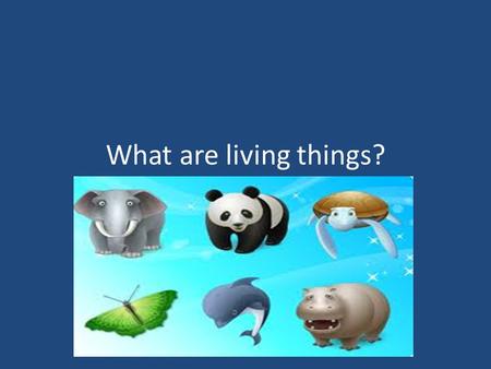 What are living things?. 5 characteristic's that living thing share 1.Made up of one or more cells 2.Respond to their environment 3.Use energy 4.Grow.