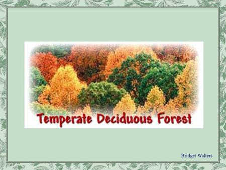 Bridget Walters “Deciduous” means to fall off, or shed, seasonally. As the name implies, deciduous trees shed their leaves each fall. To find out more.
