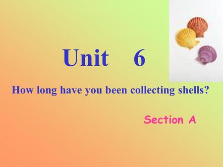 Unit 6 How long have you been collecting shells? Section A.