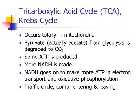 Tricarboxylic Acid Cycle (TCA), Krebs Cycle Occurs totally in mitochondria Pyruvate (actually acetate) from glycolysis is degraded to CO 2 Some ATP is.