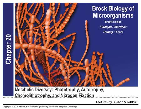 Copyright © 2009 Pearson Education Inc., publishing as Pearson Benjamin Cummings Brock Biology of Microorganisms Twelfth Edition Madigan / Martinko Dunlap.