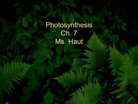 Photosynthesis Ch. 7 Ms. Haut. All cells need energy to carry out their activities All energy ultimately comes from the sun Photosynthesis—process in.