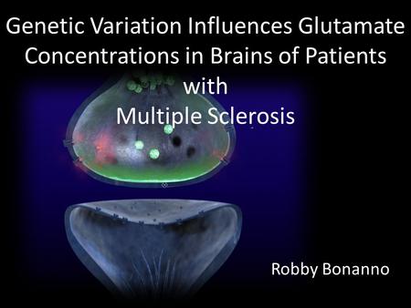 Genetic Variation Influences Glutamate Concentrations in Brains of Patients with Multiple Sclerosis Robby Bonanno.