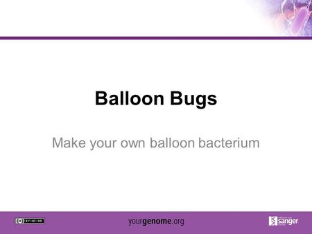 Make your own balloon bacterium
