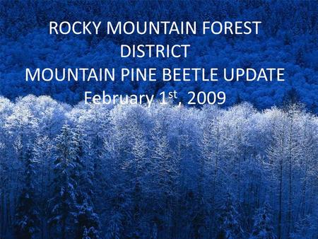ROCKY MOUNTAIN FOREST DISTRICT MOUNTAIN PINE BEETLE UPDATE February 1 st, 2009.
