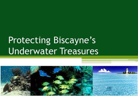 Protecting Biscayne’s Underwater Treasures. Protecting Biscayne’s Underwater Treasures. Problem: boat groundings, depreciative behavior, (impacts to soil;