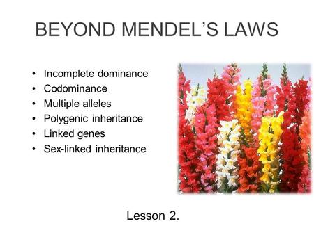 BEYOND MENDEL’S LAWS Lesson 2.