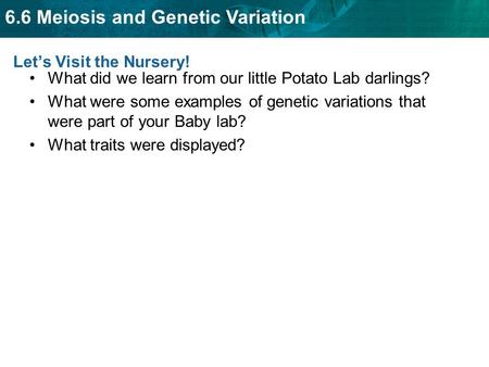 6.6 Meiosis and Genetic Variation Let’s Visit the Nursery! What did we learn from our little Potato Lab darlings? What were some examples of genetic variations.