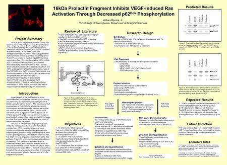 16kDa Prolactin Fragment Inhibits VEGF-induced Ras Activation Through Decreased p62 Dok Phosphorylation A 16-kDalton fragment of prolactin (16Prl) has.