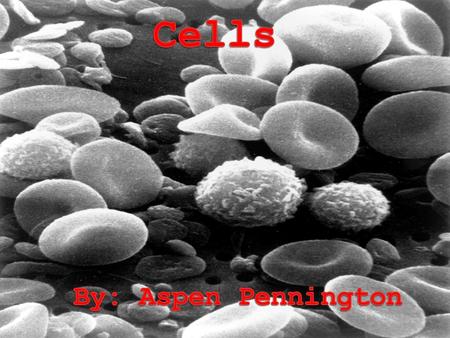 Cells By: Aspen Pennington.