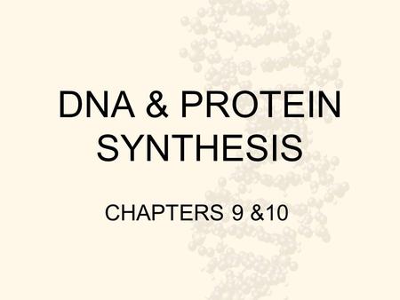 DNA & PROTEIN SYNTHESIS CHAPTERS 9 &10. Main Idea How are proteins made in our bodies?