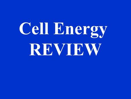 Cell Energy REVIEW THIS Is Cell Energy 100 200 300 400 500 Organelle Structures Calvin Cycle Glycolysis Krebs Cycle Leaf Structures Light Reactions.