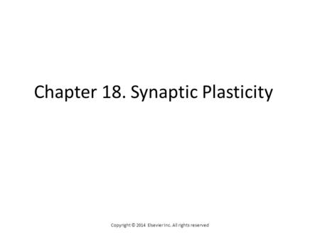 Chapter 18. Synaptic Plasticity Copyright © 2014 Elsevier Inc. All rights reserved.