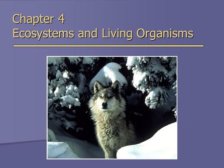 Chapter 4 Ecosystems and Living Organisms. Overview of Chapter 4  Evolution  Natural Selection  Biological Communities  Symbiosis  Predation & Competition.