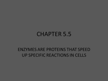 ENZYMES ARE PROTEINS THAT SPEED UP SPECIFIC REACTIONS IN CELLS