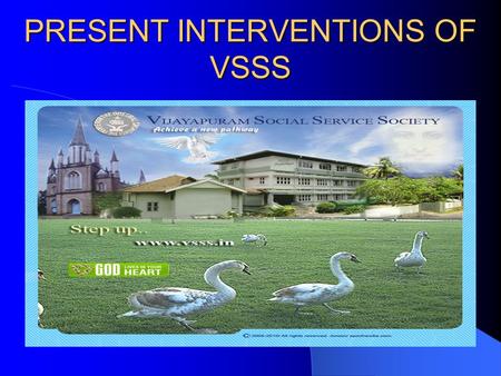 PRESENT INTERVENTIONS OF VSSS. INRODUCTION All the interventions of the society are designed to meet the multidimensional requirements of the lower strata.