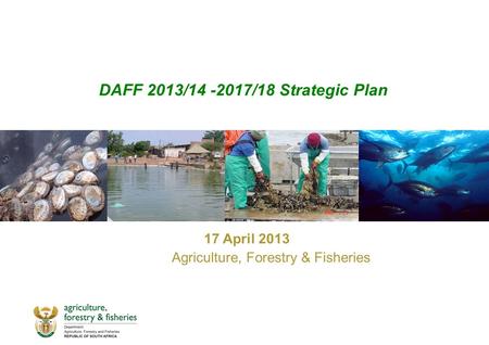 DAFF 2013/14 -2017/18 Strategic Plan 17 April 2013 Agriculture, Forestry & Fisheries.