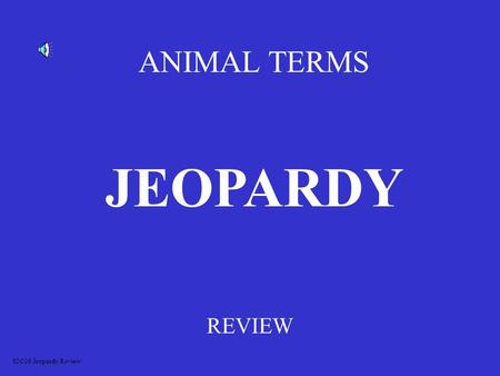 ANIMAL TERMS REVIEW JEOPARDY S2C06 Jeopardy Review.