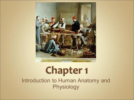 Introduction to Human Anatomy and Physiology. Anatomy – the structure of body parts (also called Morphology) Physiology – the function of the body parts,